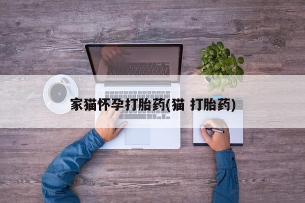 打胎药购买联系家猫怀孕打胎药(猫 打胎药)
